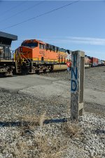 BNSF 4262